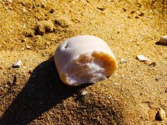 上海律師_新版個人征信報告及對外提供的危害