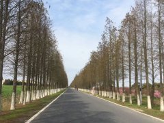 房屋出賣人未將戶口遷出引發糾紛怎么辦？