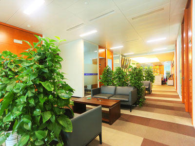 上海房產交易糾紛律師